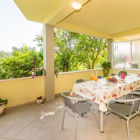 Petra 5 特罗吉尔